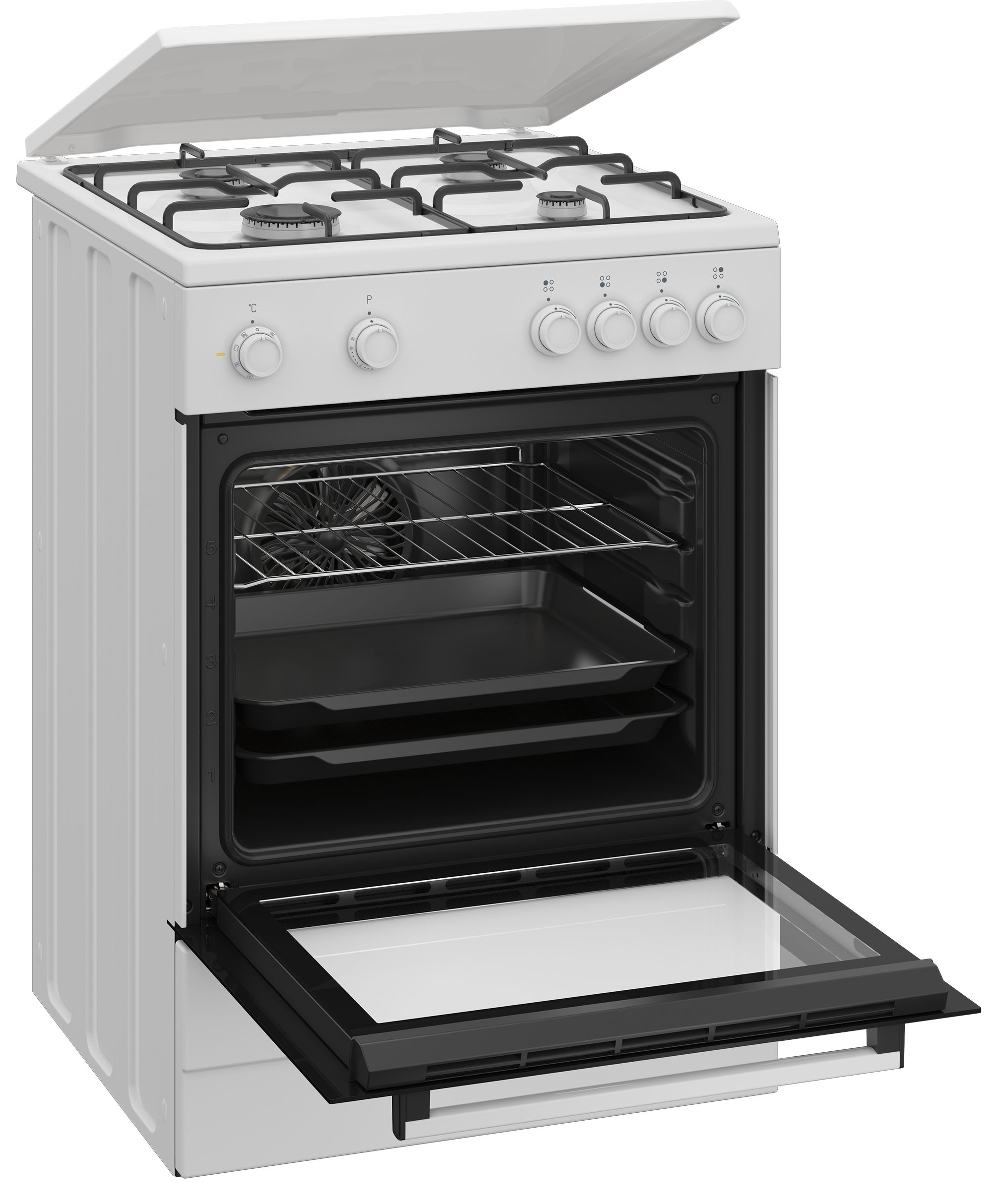 FBM6202W NL